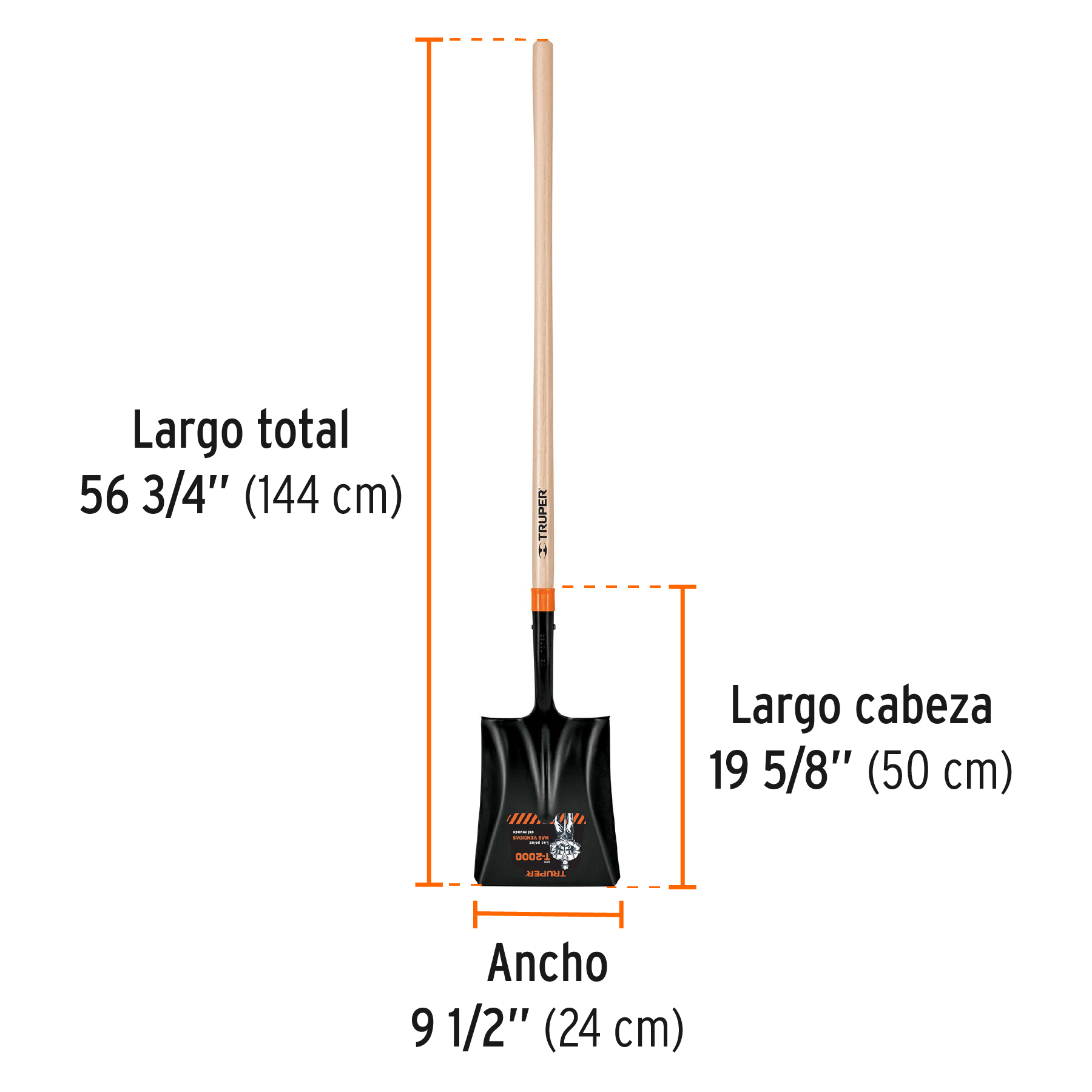 PCL-P